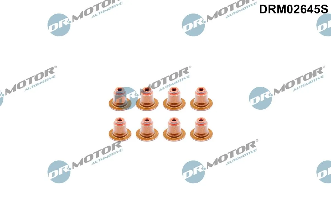 Seal Ring, valve stem